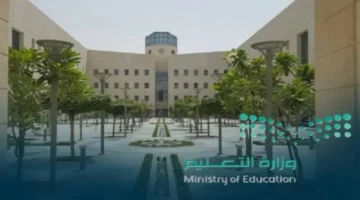 إلغاء تراخيص.. التعليم تنهي عمل 74 مدرسة خاصة في السعودية بسبب مخالفات مرصودة